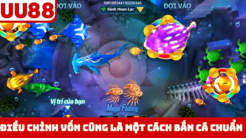 Điều chỉnh vốn cũng là một cách bắn cá siêu chuẩn